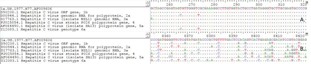 A.5’端非編碼區(qū)序列;B.NS5序列